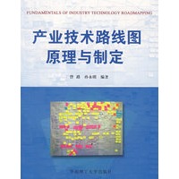 产业技术路线图原理与制定