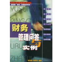 财务管理问答与实例/三资企业日常管理实务丛书