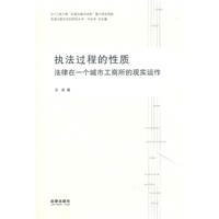 执法过程的性质