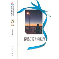 蝴蝶发夹上的眼泪