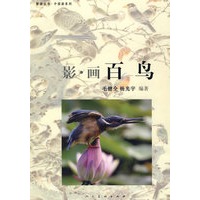 影画百鸟