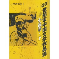 20世纪末中国文学作品选·小说卷（下）