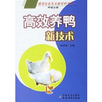 高效养鸭新技术