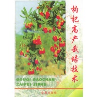 枸杞高产栽培技术