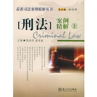 刑法案例精解·上——最新司法案例精解丛书