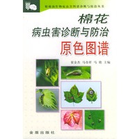 棉花病虫害诊断与防治原色图谱