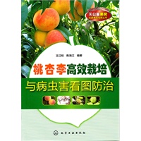 无公害果树优质高效栽培丛书--桃、杏、李高效栽培与病虫害看图防治