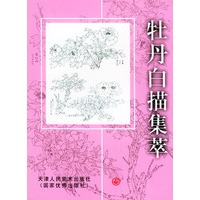 牡丹白描集萃