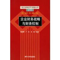 企业财务战略与财务控制——前沿实用经济与管理丛书·会计系列