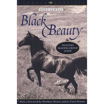 黑骏马 black beauty