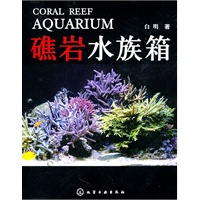 礁岩水族箱