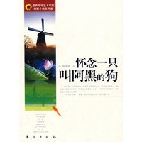 怀念一只叫阿黑的狗