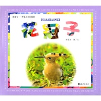 我要飞——野生小鸟的故事 花冠子