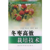 冬枣高效栽培技术