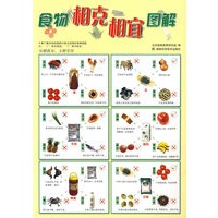 食物相克相宜图解