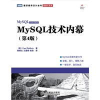 MySQL技术内幕 : 第4版