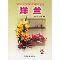 洋兰