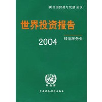 2004年世界投资报告