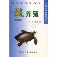 鳖养殖
