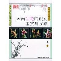 云南兰花的识别、鉴赏与收藏