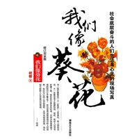 我们像葵花