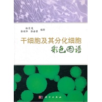 干细胞及其分化细胞彩色图谱