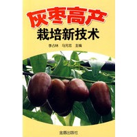 灰枣高产栽培新技术