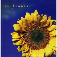 (向日葵)Sunflowers