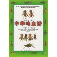 中华鸣虫谱——中国蟋蟀学.鸣虫卷