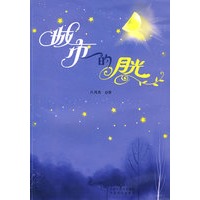 城市的月光