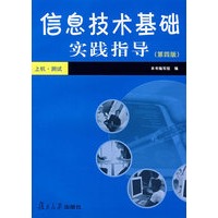 信息技术基础实践指导（第四版）