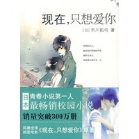 现在，只想爱你