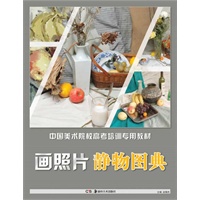 画照片 静物图典