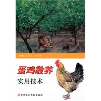 蛋鸡散养实用技术