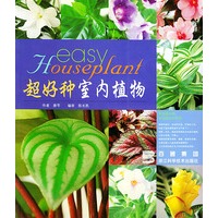 超好种室内植物