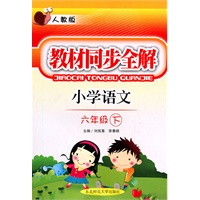 小学语文六年级下：（人教版）教材同步全解（2010.11印刷）