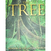 The tree 树