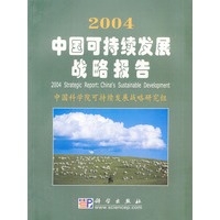 2004中国可持续发展战略报告