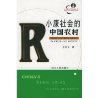 小康社会的中国农村——小康中国