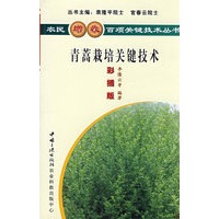 青蒿栽培关键技术