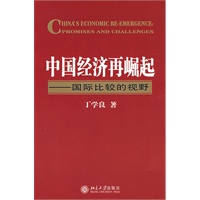 中国经济再崛起—国际比较的视野