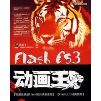 Flash CS3动画王(含光盘1张)