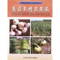 葱蒜类精品蔬菜