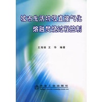 城市生活垃圾直接气化熔融焚烧过程控制