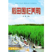 稻田围栏养鸭