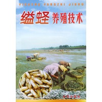 缢蛏养殖技术