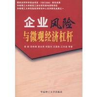 企业风险与微观经济杠杆