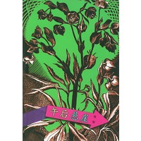 镜子里的城市--午后悬崖