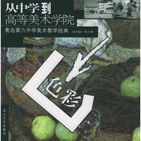 青岛第六中学美术教学经典--色彩