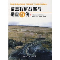 信息找矿战略与勘查百例